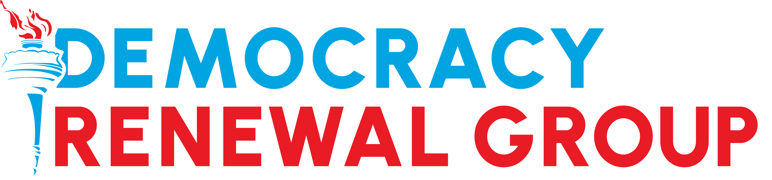 Democracy Renewal Group